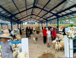 Pedagang Keluhkan Pasar Hewan Baru,Begini Rencana Pemkab Rembang