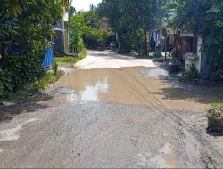 Tak Tunggu APBD, Warga Maguan Swadaya Tambal Jalan Berlubang Penghubung Rembang–Pati