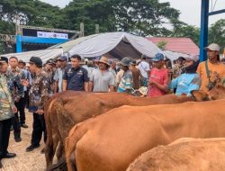 Perluas Akses Ekonomi, Pemerintah Kabupaten Rembang Resmikan Pasar Hewan Pamotan Baru