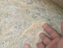 Video Viral,Air Kedungsemar Diduga Tercemar Limbah Pengeboran Minyak