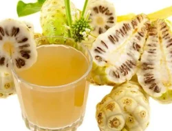 Menggali Potensi Tetes Sari Pace Mengkudu Di Kabupaten Rembang