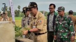Panen Padi MT I Rembang Melimpah, Harga Gabah di Atas Target