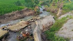 Kabar Gembira bagi Petani Gunungsari,Pemkab Rembang Siap Percepat Normalisasi Irigasi!