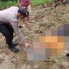 Lansia Ditemukan Meninggal Dunia di Kawasan Hutan Kadiwono,Murni Riwayat Penyakit
