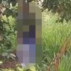 Penemuan Jenazah Pria Tergantung di Perkebunan Cengkeh Tlogowungu Pati