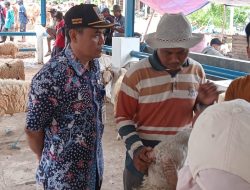 Harga Kambing Anjlok Ratusan Ribu, Dintanpan Rembang Usul Menu Sate di Program MBG