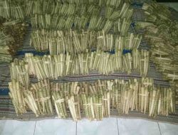 Berkah Sedekah Bumi, Produsen Dumbek Desa Gunungsari Rembang Banjir Pesanan Mencapai Ribuan