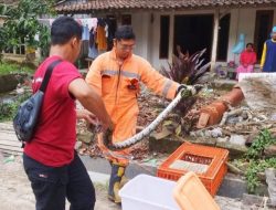 Damkar Rembang Garda Terdepan Kedaruratan, Tangani 129 Kasus dalam 3 Bulan