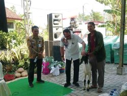 Sapi Unggul Rembang Tembus 100 Ribu Ekor, Anggota DPR RI Siap Kawal Anggaran RPH Modern di Senayan