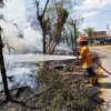 Diduga Akibat Pembakaran Sampah, Rumah dan Kandang Kambing di Kaliori Hangus Terbakar
