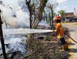 Diduga Akibat Pembakaran Sampah, Rumah dan Kandang Kambing di Kaliori Hangus Terbakar