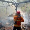 Kebakaran Kandang Jerami di Desa Tlogotunggal Sumber Berhasil Dipadamkan, Kerugian Ditaksir Rp5 Juta