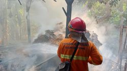 Kebakaran Kandang Jerami di Desa Tlogotunggal Sumber Berhasil Dipadamkan, Kerugian Ditaksir Rp5 Juta