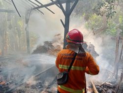Kebakaran Kandang Jerami di Desa Tlogotunggal Sumber Berhasil Dipadamkan, Kerugian Ditaksir Rp5 Juta